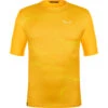 SALEWA Men's Seceda Dry T-Shirt