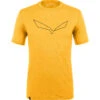 SALEWA Men's Pure Logo AMR T-Shirt