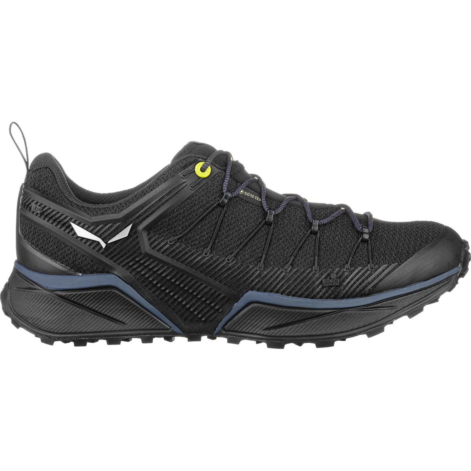 SALEWA Men's Dropline GTX Shoe