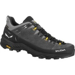 Salewa Alp Trainer 2 GTX Hiking Shoes - Onyx/black 876