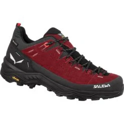 Salewa Alp Trainer 2 GTX Hiking Shoes Women - Syrah/black 1575